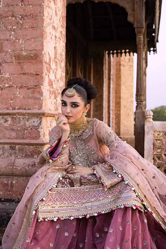 Aarzoo 1 designerwearcollection.com