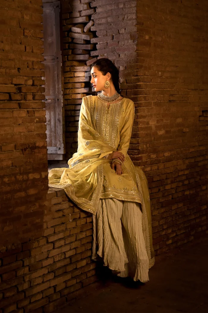 ERUM KHAN Dil Araa 3 designerwearcollection.com