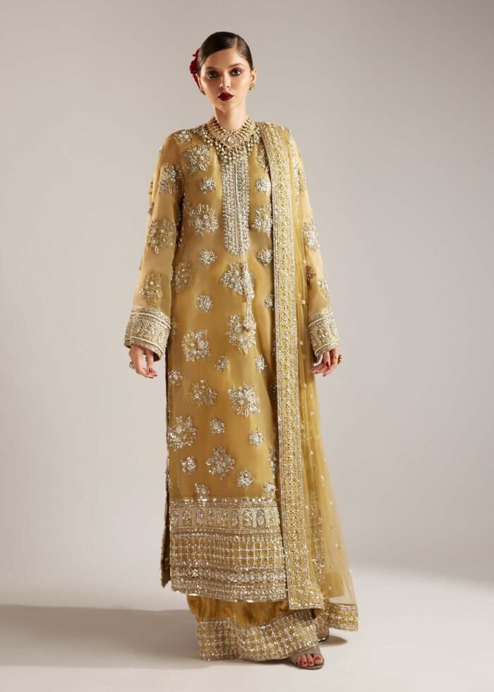 Hussain Rehar Zesty 2 designerwearcollection.com